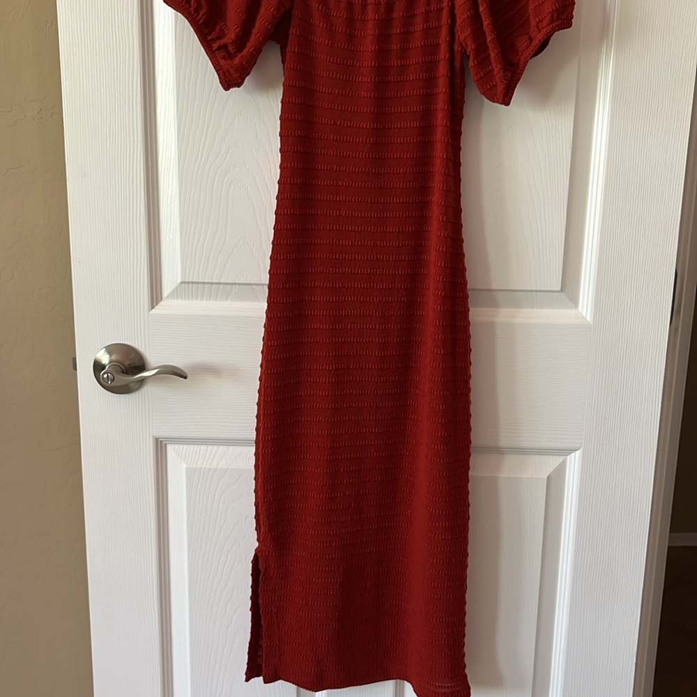 REWIND Rust Dress - Picture 6 of 9